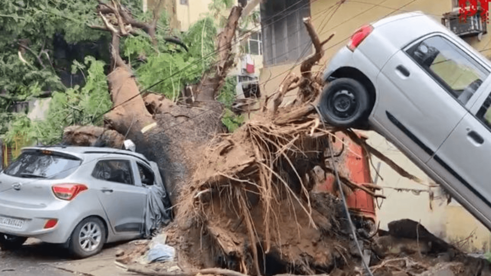 South Delhi car lifted mid-air, stuck on uprooted tree as storm batters national capital