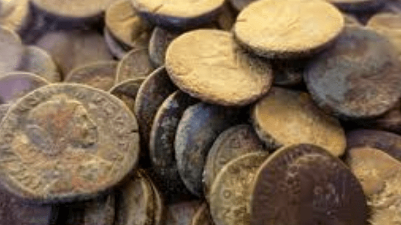 Man stumbles upon 1,469 Roman silver coins valued at over ₹50 lakh while out for nature walk