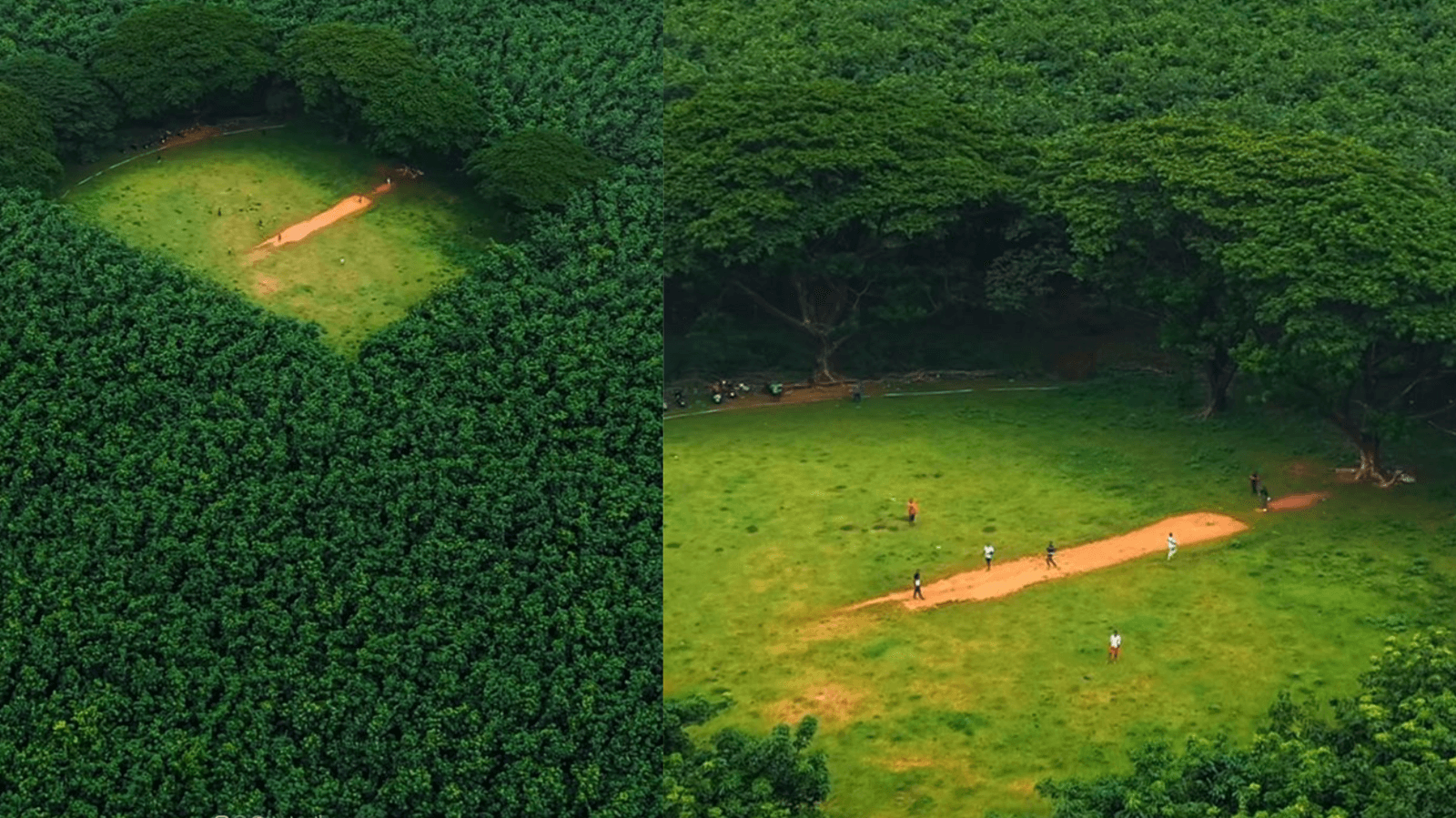 ‘This is not Amazon rainforest': Kerala's hidden cricket stadium stuns internet with unreal beauty