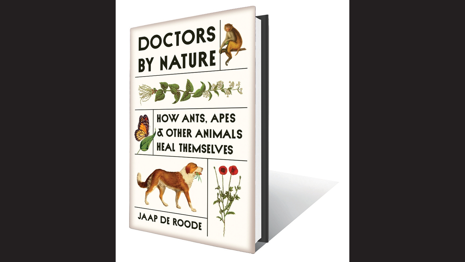 Doctors by Nature: An exclusive excerpt from a book about how animals heal themselves