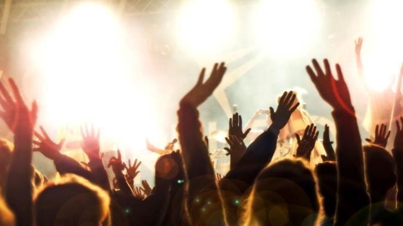 Bengaluru rave party bust: 31 arrested, including Chinese national; most attendees IT professionals