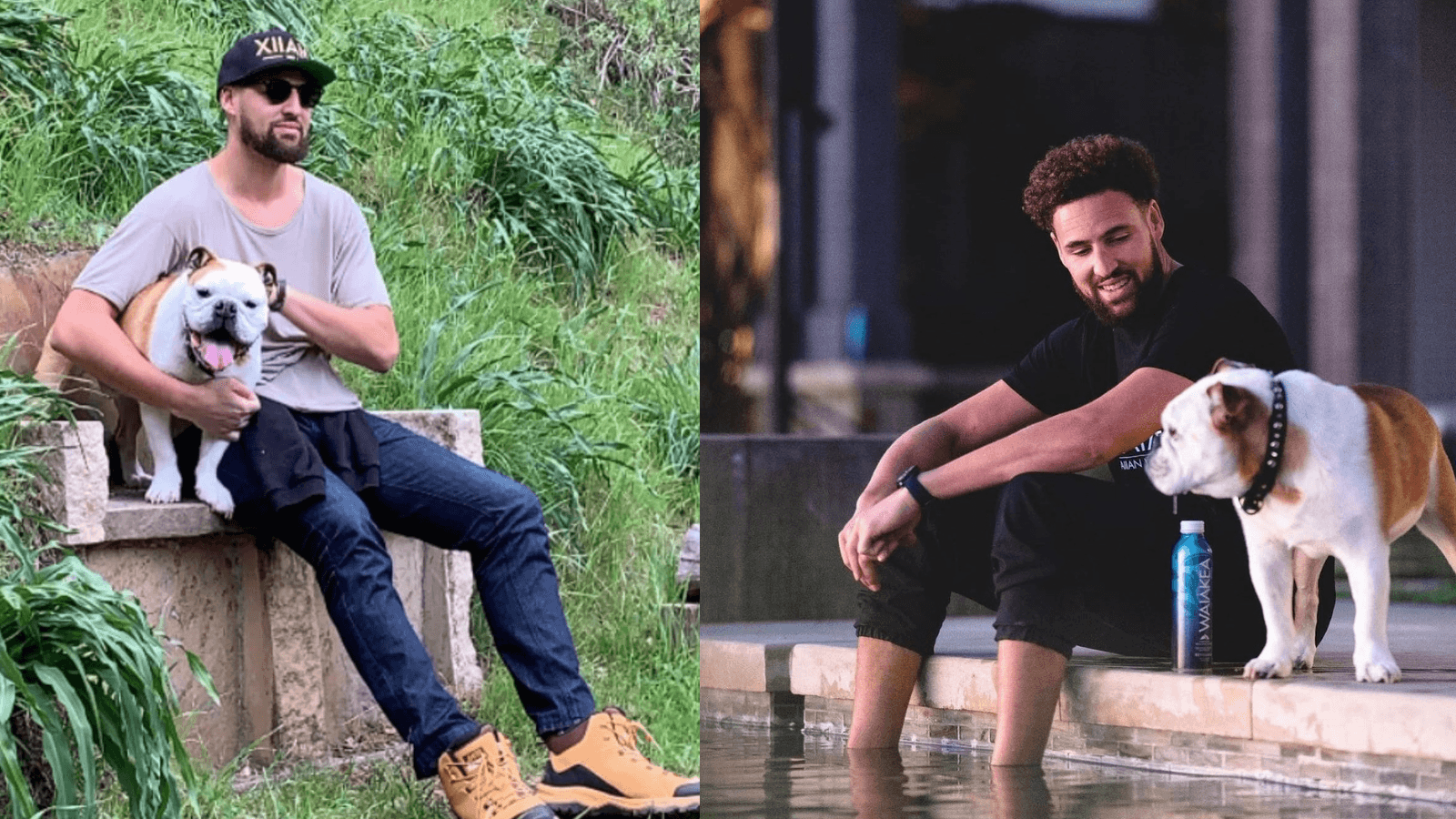RIP Rocco: Klay Thompson's beloved dog dies at 13