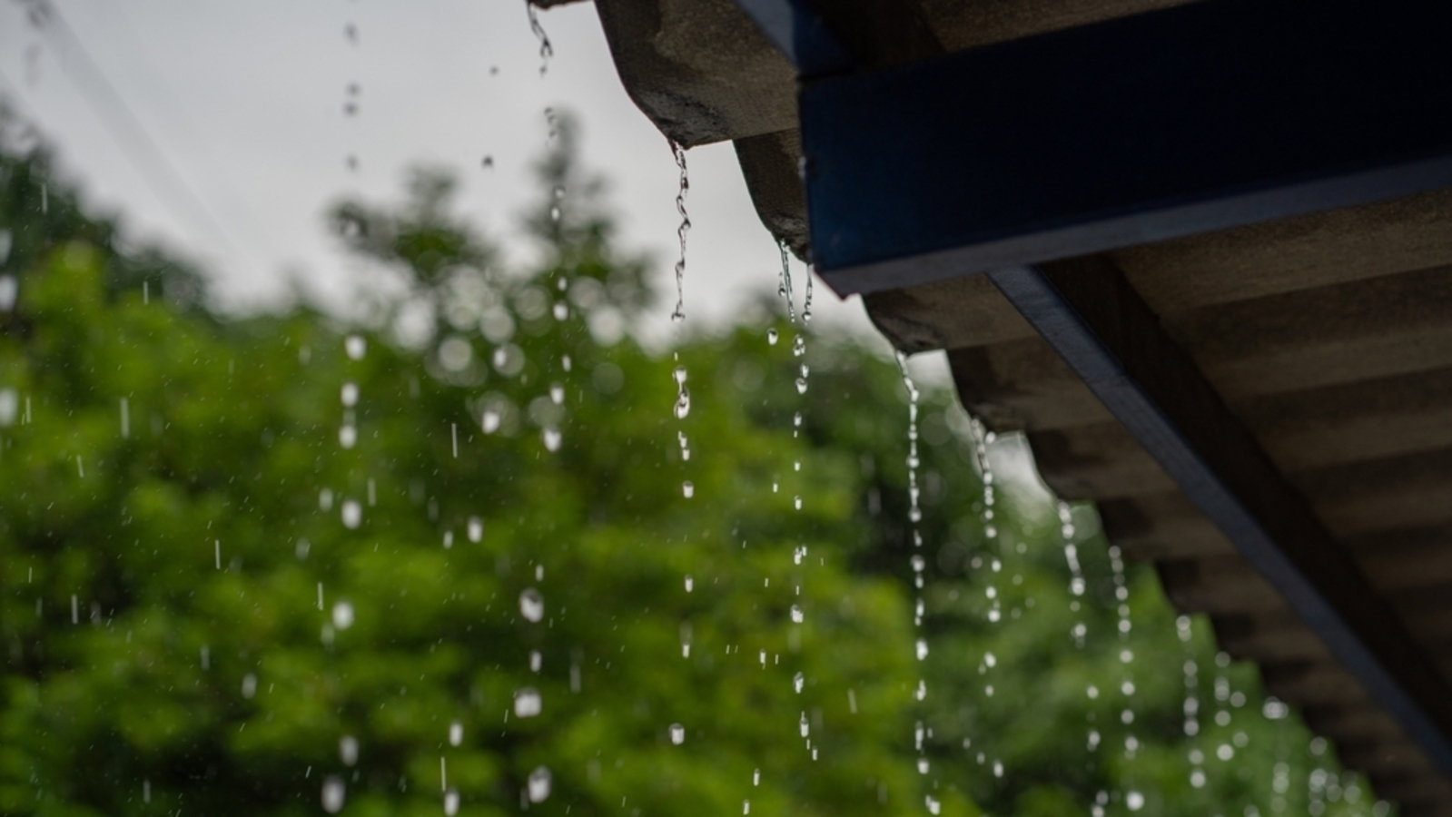 What to eat when it rains? Doctor shares top requirements for monsoon diet to stay healthy