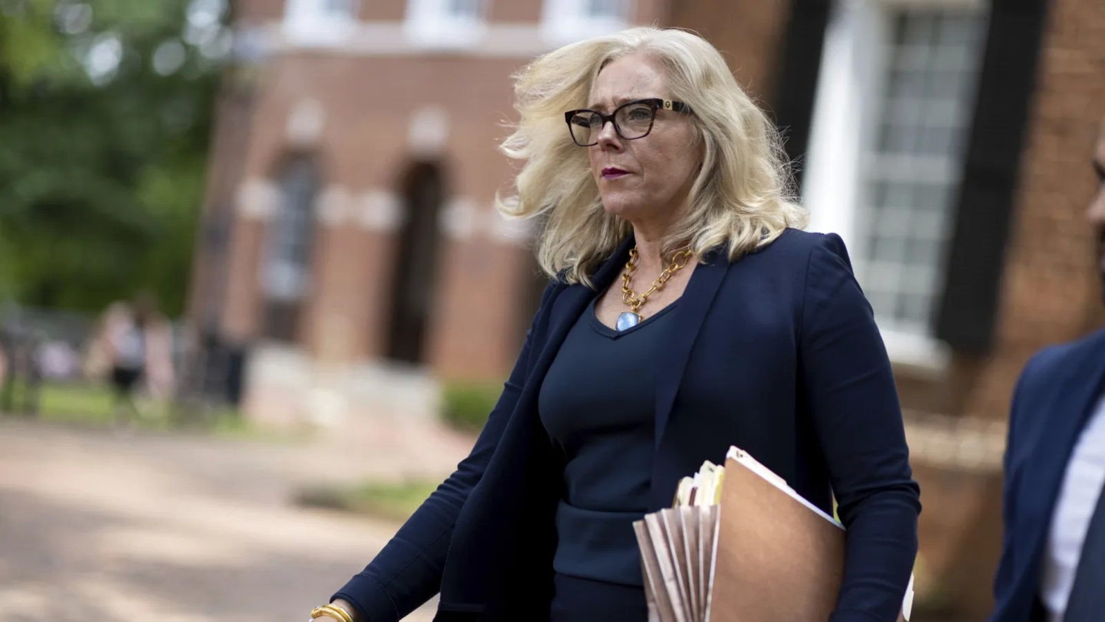 Virginia Democrats set to pick nominees in closely watched 2025 primaries, key details here