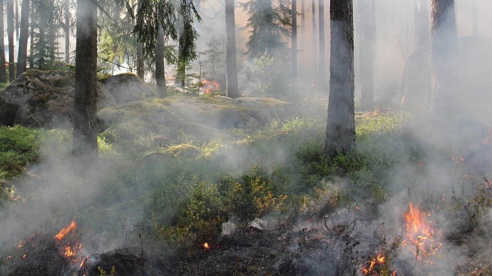 Chelan, Washington wildfire: Firefighters respond to blaze off Apple Acres Road and Antoine Creek Road