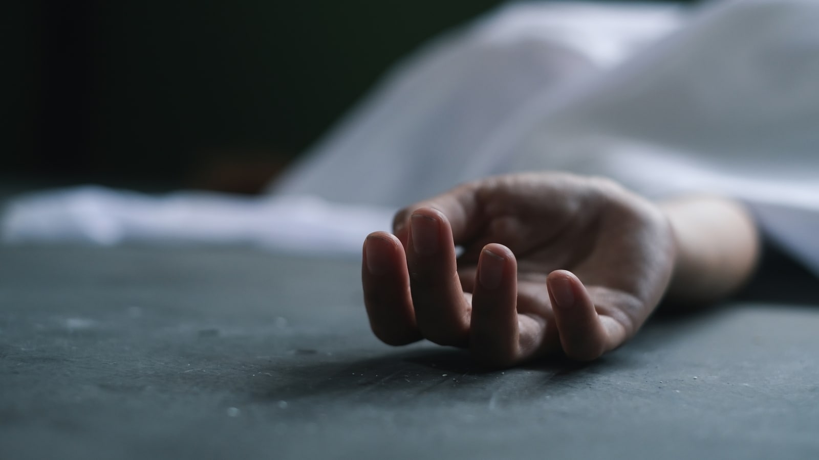 Bengaluru architecture student dies by suicide, alleges ragging in final video