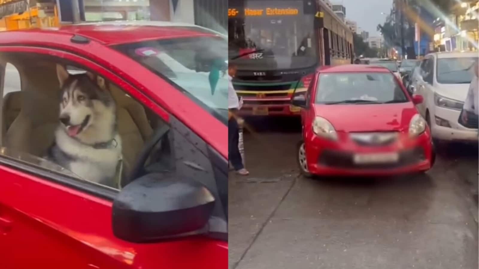 ‘Dogesh bro ghoomne nikle hai': Husky found ‘behind the wheels' in car causing traffic jam in Mumbai