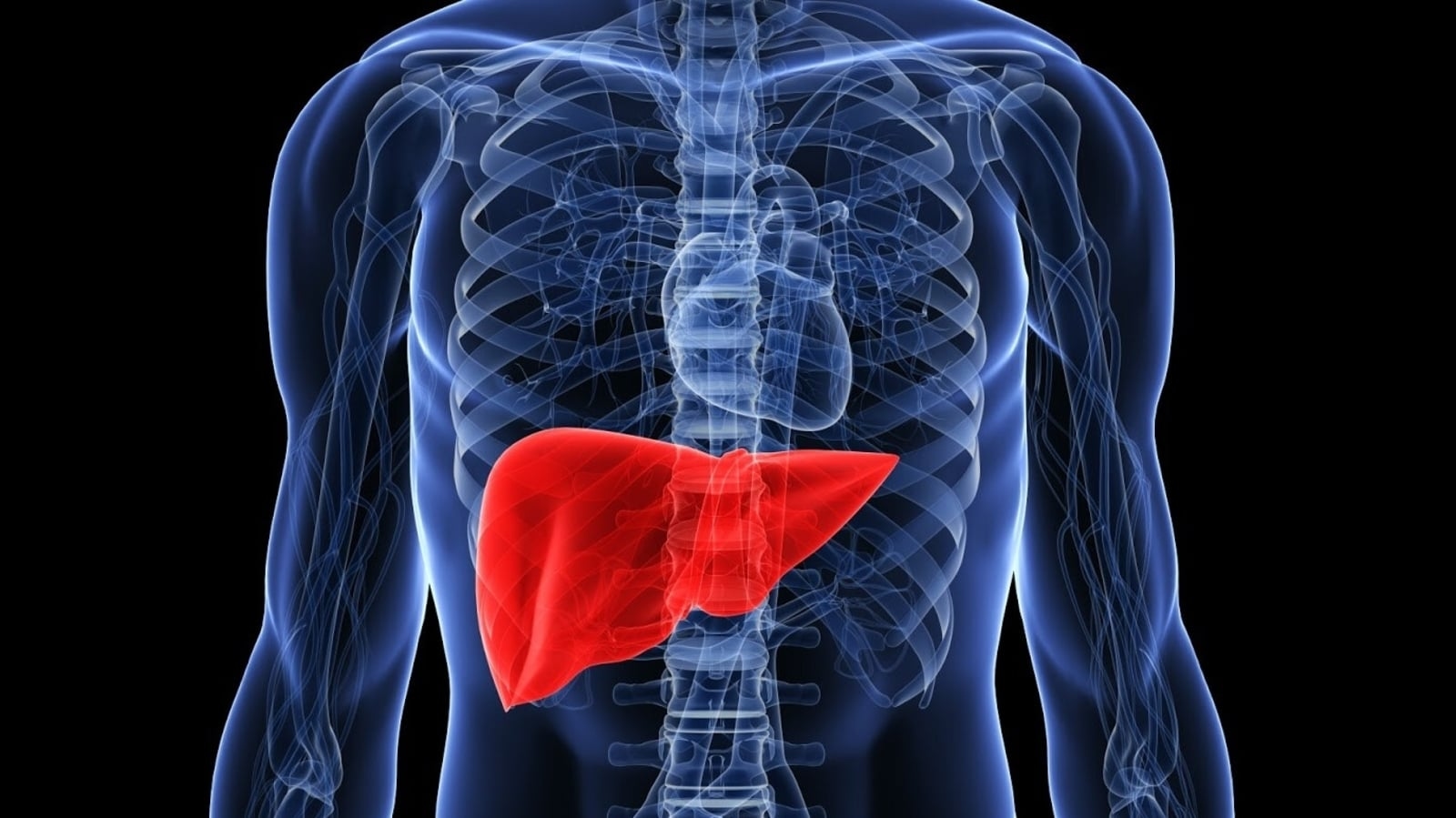 Gastroenterologist shares which foods to eat and avoid for good liver health: 'Coffee but limited dose'