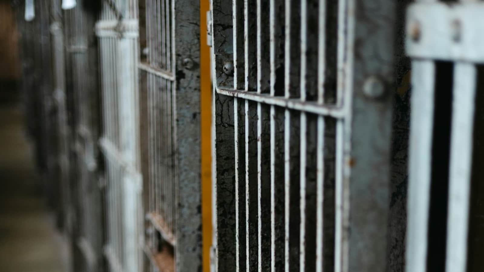 Gangster Salman Tyagi found dead inside his cell in Delhi's Mandoli Jail