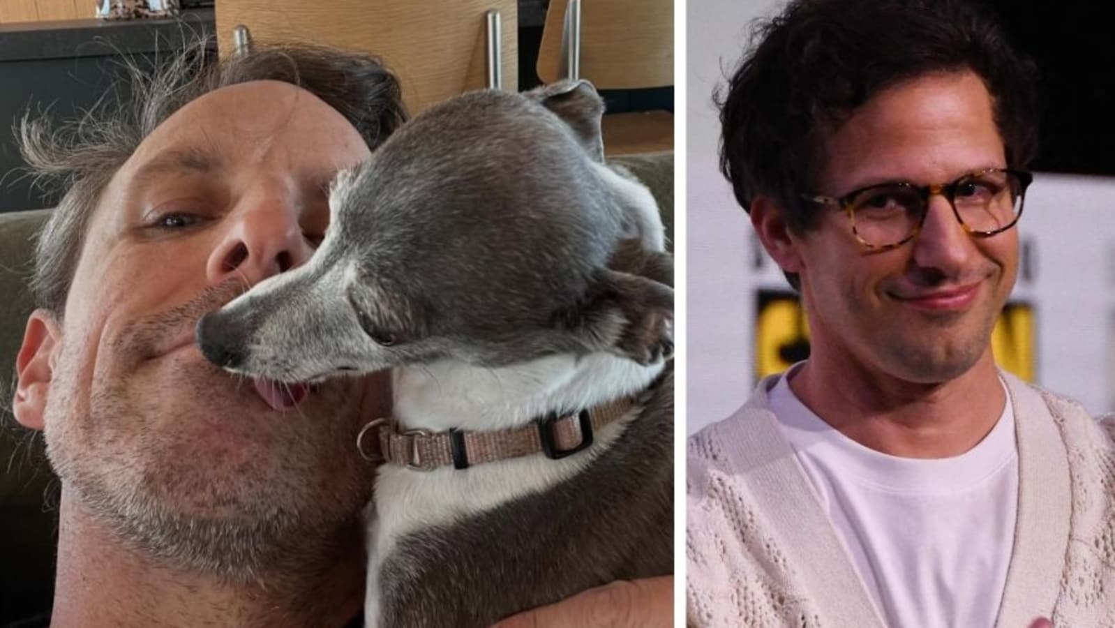Why Andy Samberg is being roasted after Seth Meyers' dog Frisbee's death, ‘May her ghost haunt him forever'