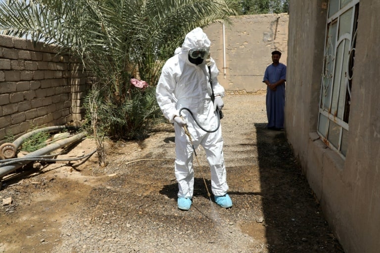 Iraq reveals 19 Congo fever deaths in 2025