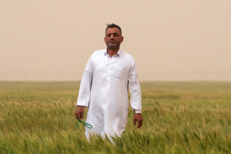 Iraq farmers use drilling wells in desert to sustain country's agriculture