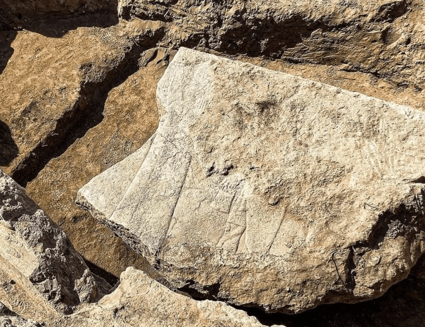 Historic Assyrian discovery stuns archaeologists in Iraq