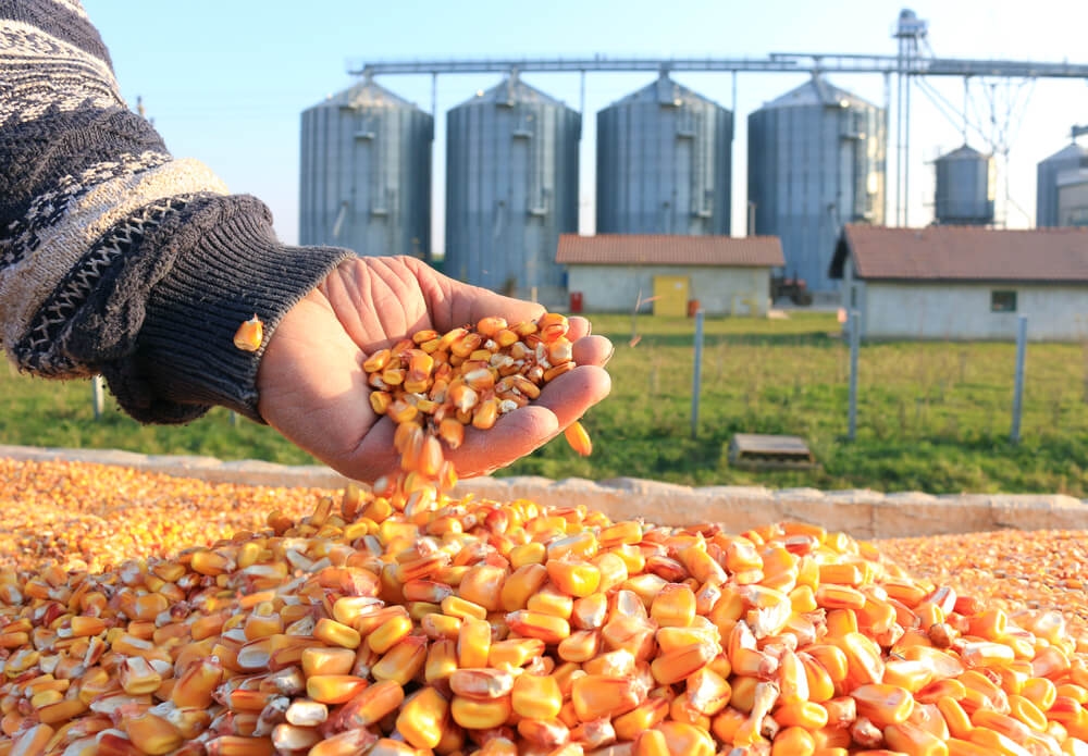 Iraq Global Group signs equipment deal with Bühler for corn silo farms