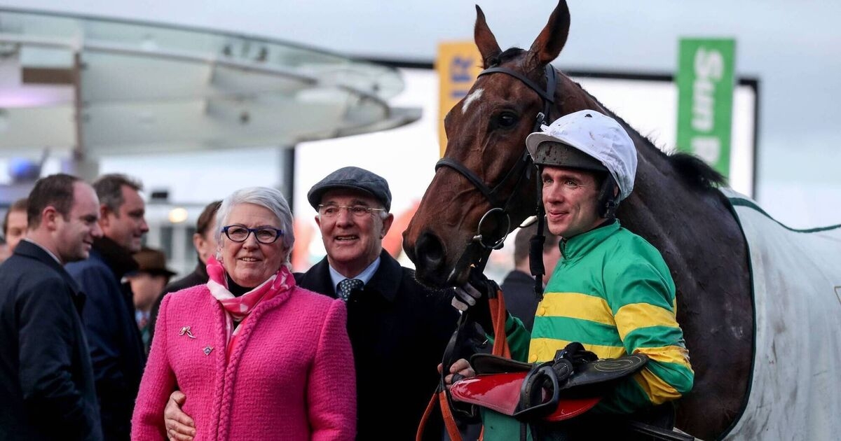 Ruby Walsh: Grand day when minnow can be a National hero