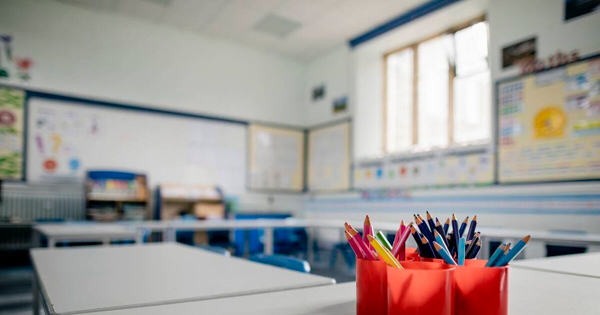 SNAs may get better job security under NCSE scheme