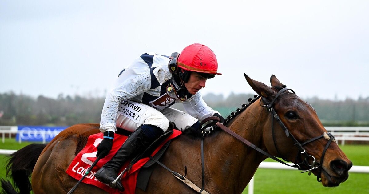 Fact To File can make class tell on day one at Punchestown