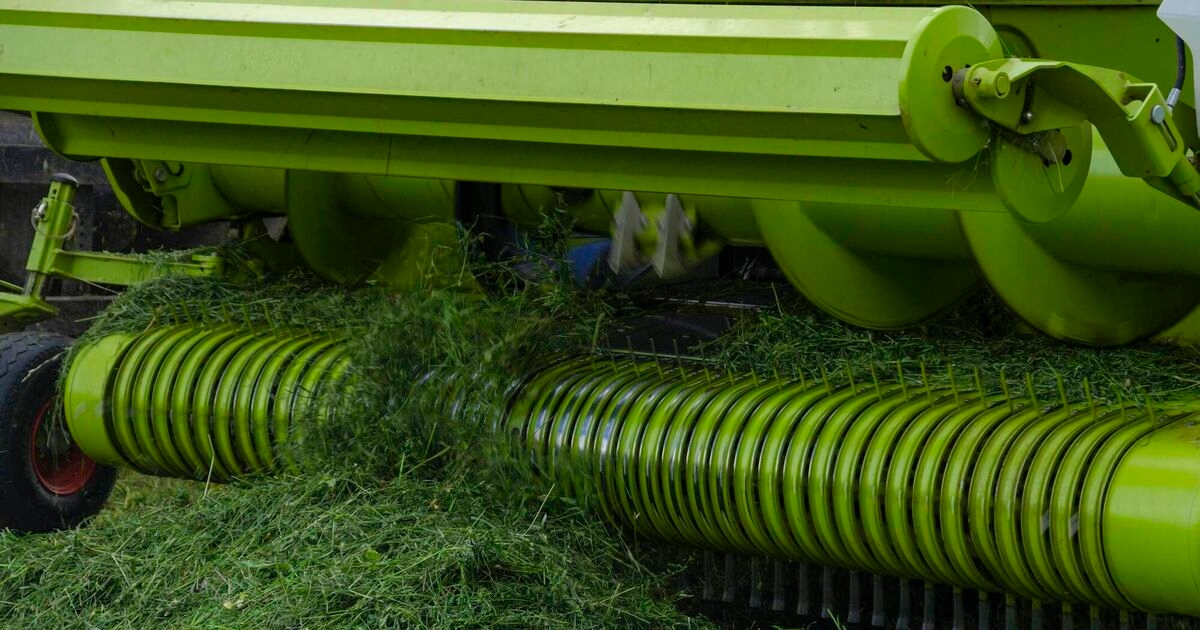 Silage 2025: Wilt fast, roll well and always consider an inoculant