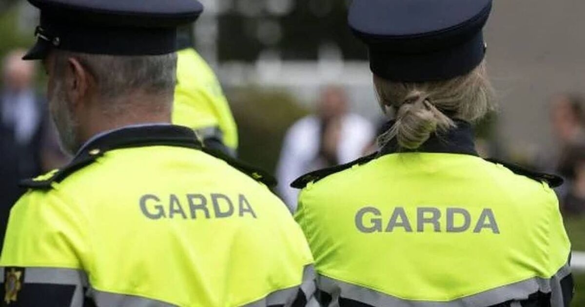 Gardaí threaten to refuse to police events during Ireland's presidency of EU next year