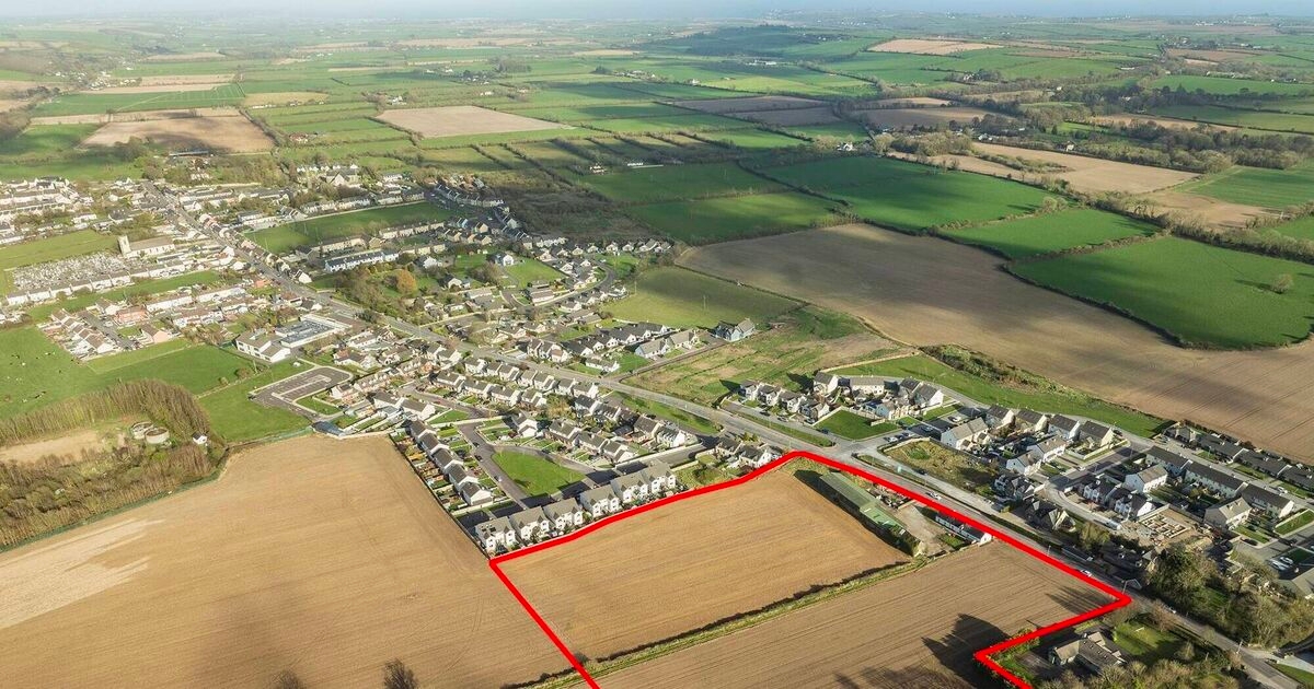 Developers are eyeing up €2.4m Cloyne lands