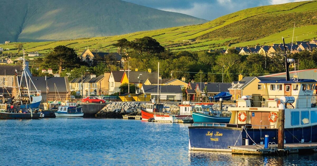 Cynthia Ní Mhurchú: 'Restricting Airbnbs will ruin local economies like the Dingle peninsula'