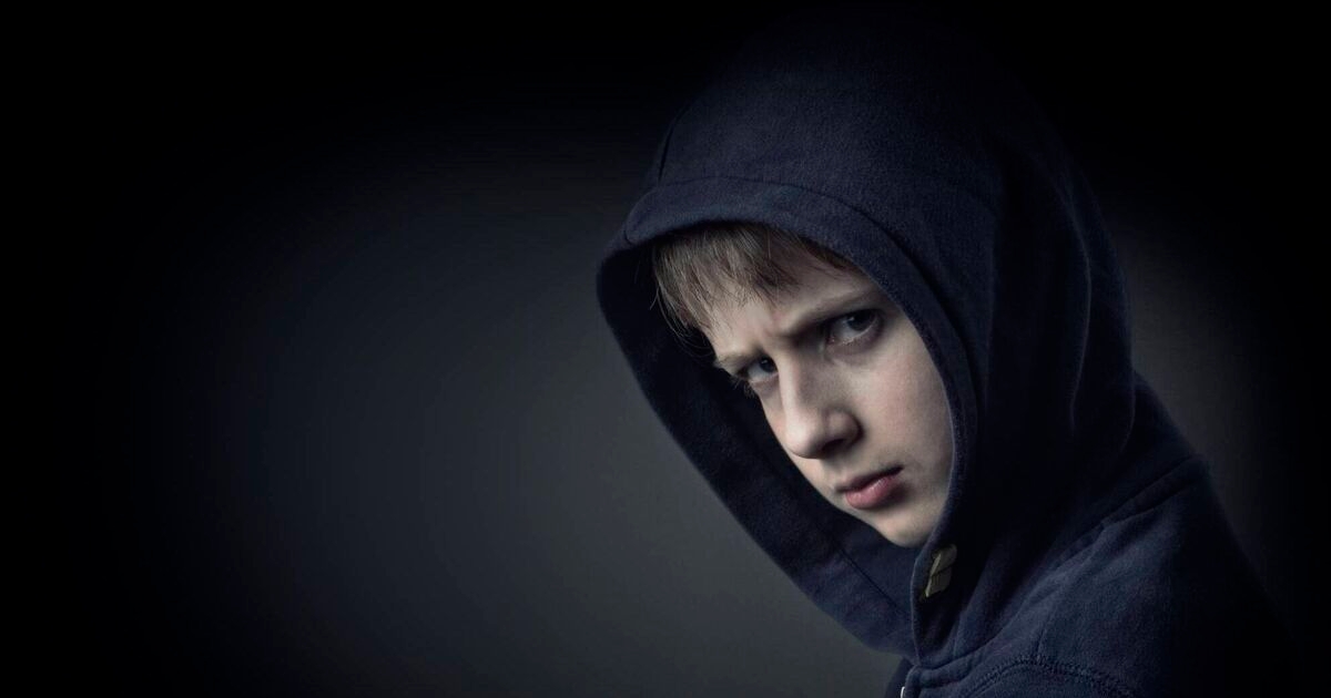 Society's view of child sex abuser 'stereotypes' stuck in the past, says One in Four report
