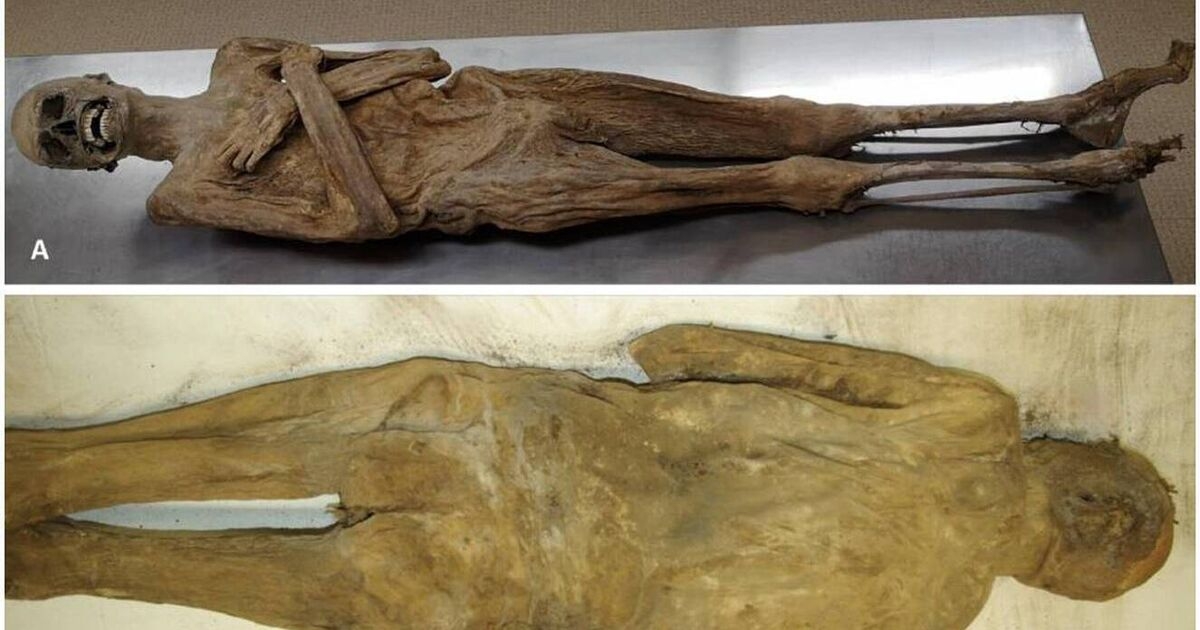 Mummy mystery solved: 'Air-dried' priest was embalmed via rectum