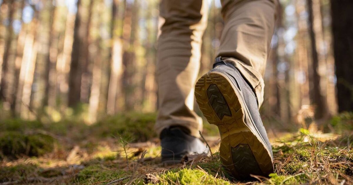 Pilgrim trails have come full circle and are so popular now