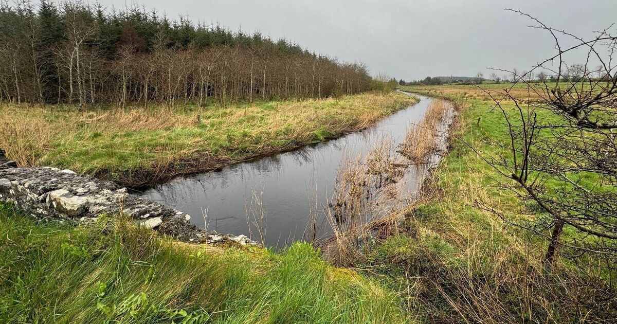 WaterMARKE project report identifies drivers and barriers for farmers to protect water quality