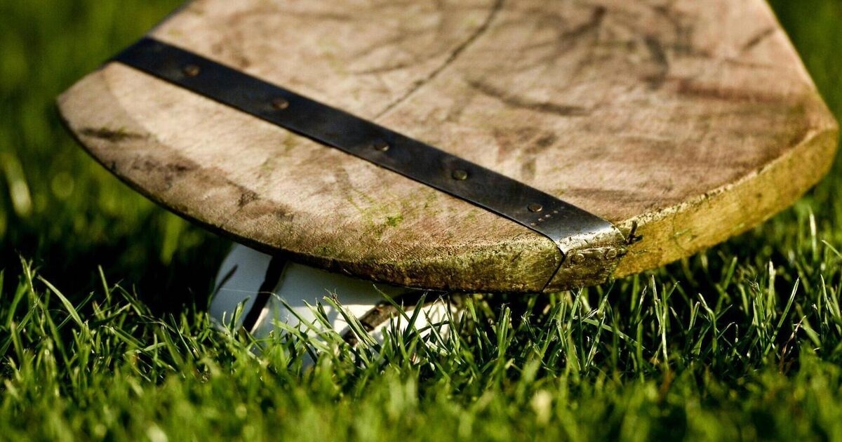 Powerful Déise finish secures Munster final place