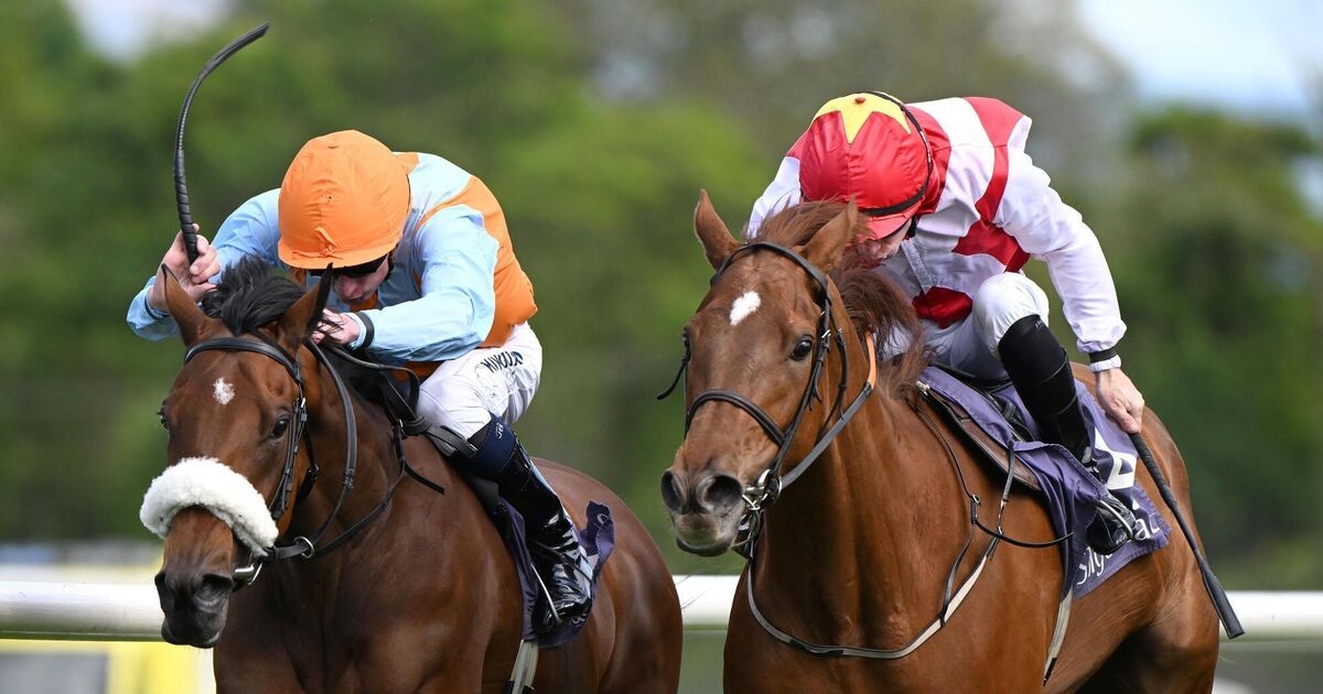 Beset and McDonogh battle back to give Joseph O'Brien third Sligo Fillies handicap victory in five years