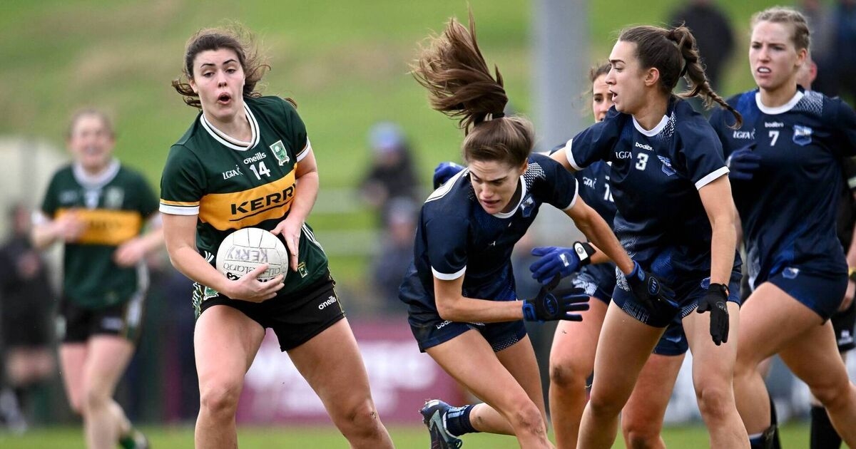 Kerry reach Munster final after hard-earned victory over Waterford