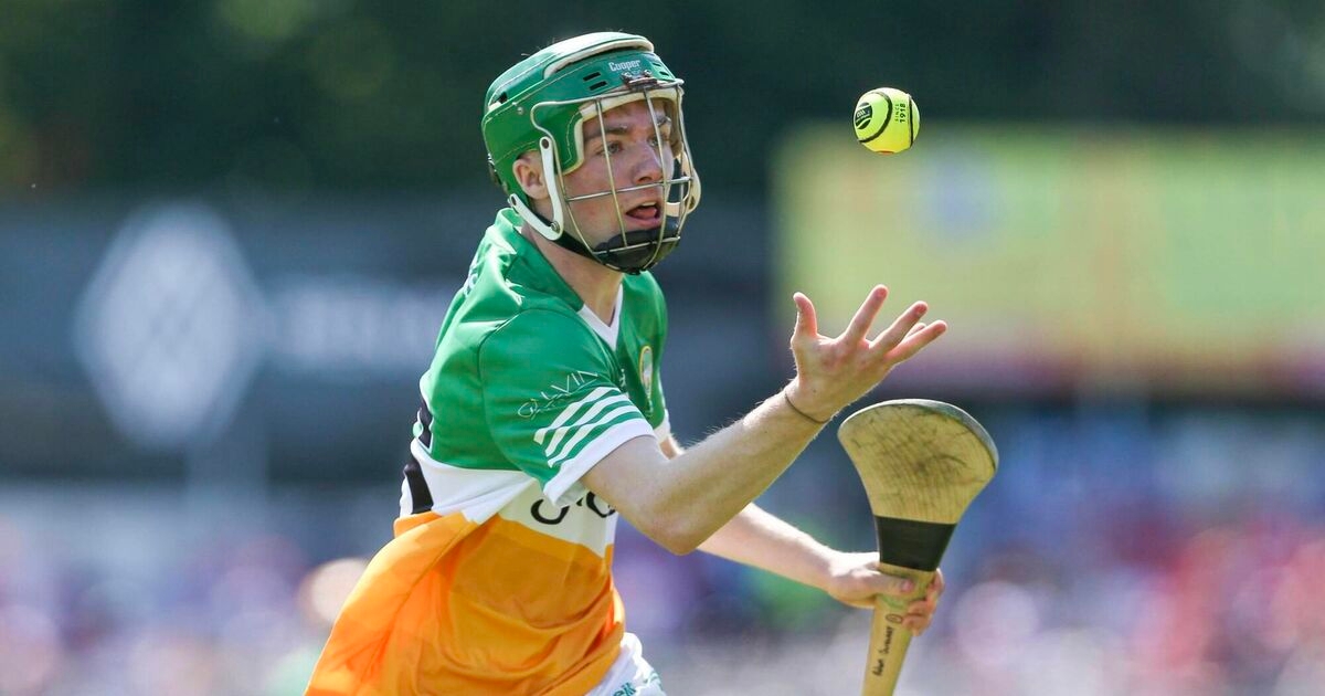 Gaffney and Graham on the double as Dublin U20s catch champions Offaly