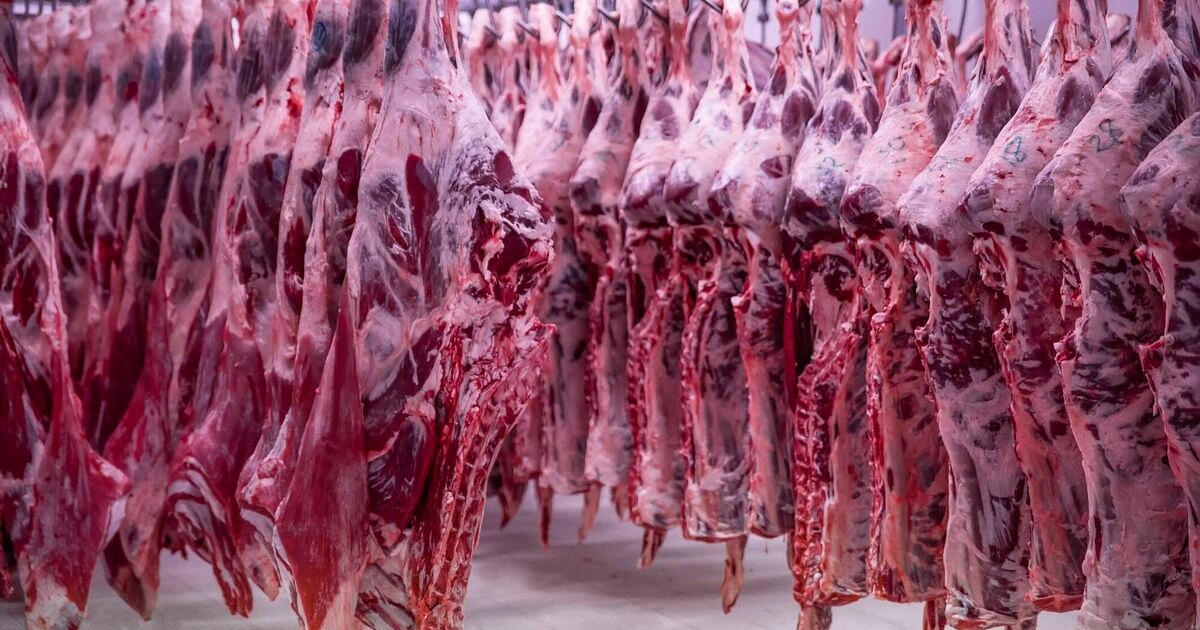 Factory prices steady as beef finishers push back