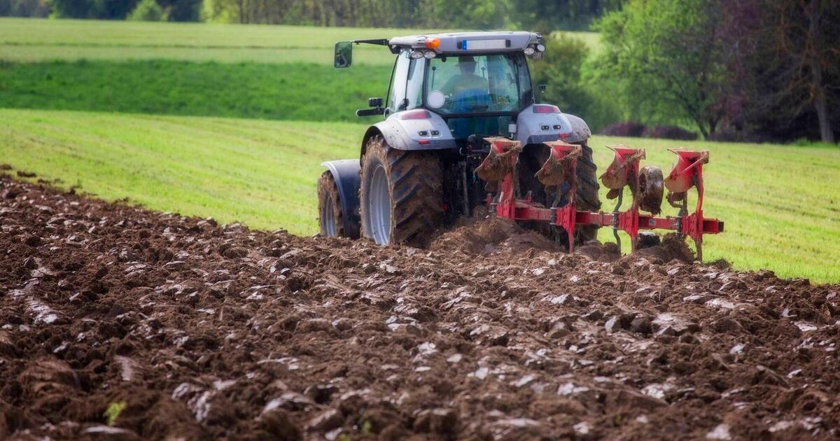 Dig deep or not at all? Why it might be time to think about shallow ploughing