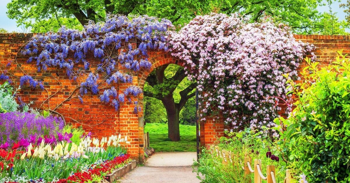 Garden Digest: Summer shows, festivals and club events