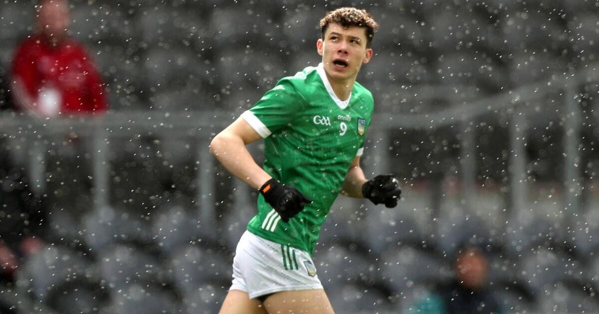 Limerick eventually see off London to kick-off Tailteann campaign on right note