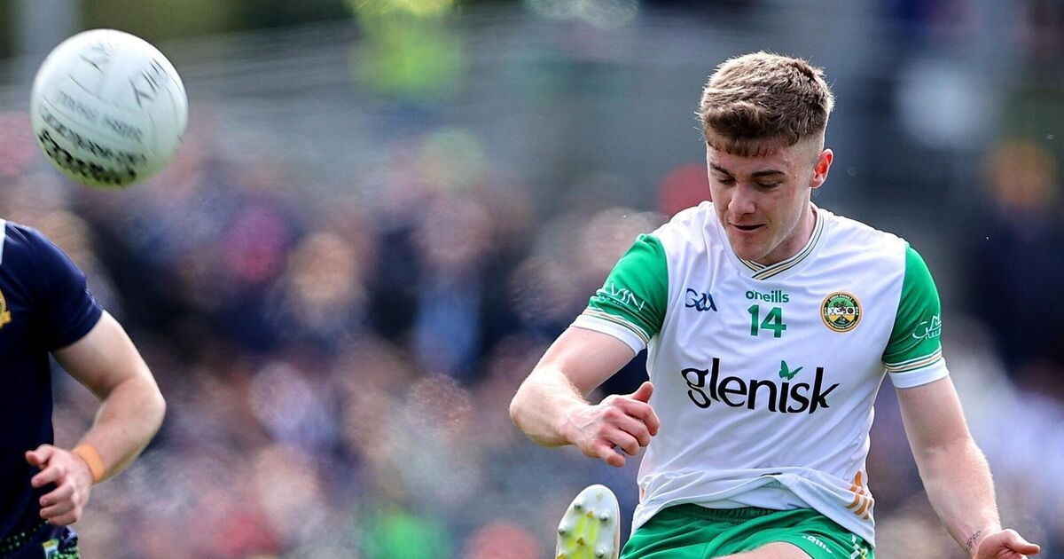 Clinical Bryant helps Offaly past Wicklow for first Tailteann win in six
