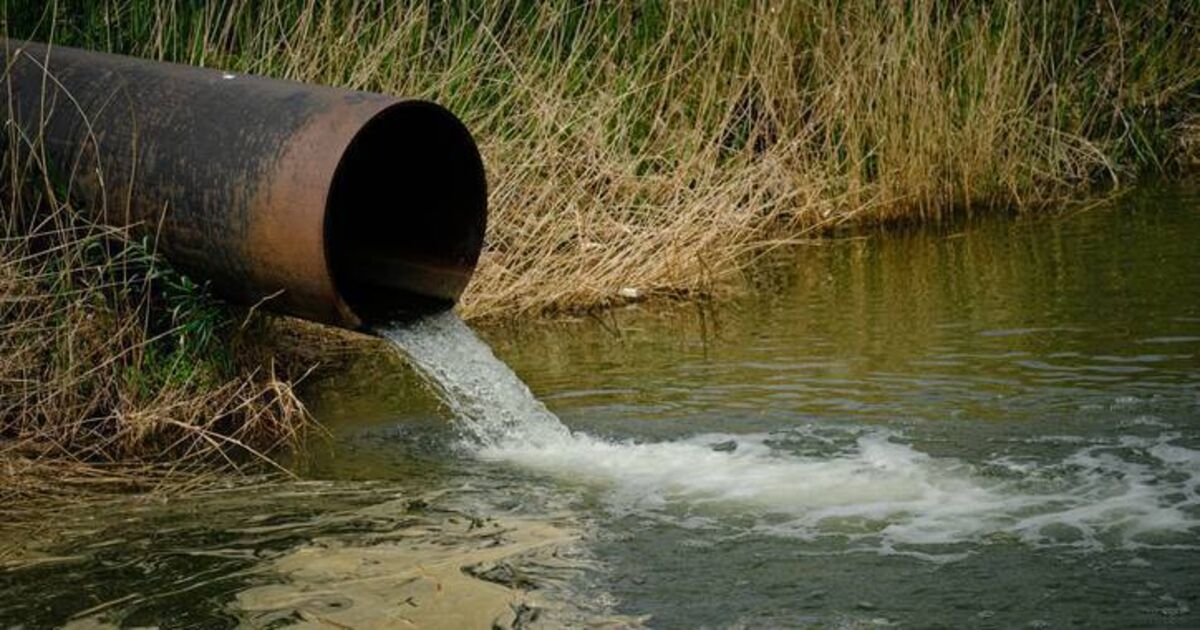 Donal Hickey: Solution needed to combat worrying trend of river pollution