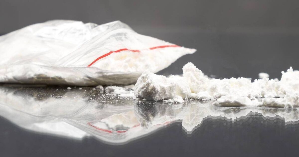 'I was terrified': Mother of drug addict speaks of intimidation her family suffered from gangs