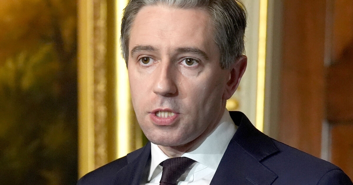 Tánaiste to tell Cabinet tariffs will remain regardless of EU-US deal