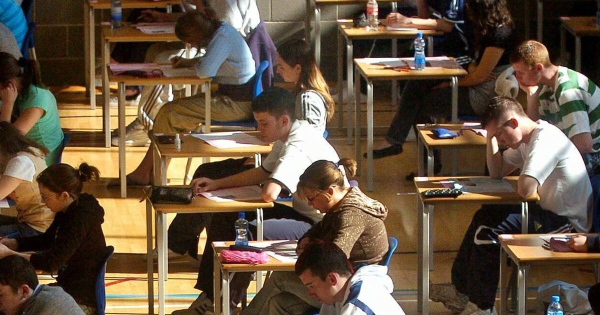 Sarah Harte: Anxious generation needs to be faced with academic challenge of Leaving Cert