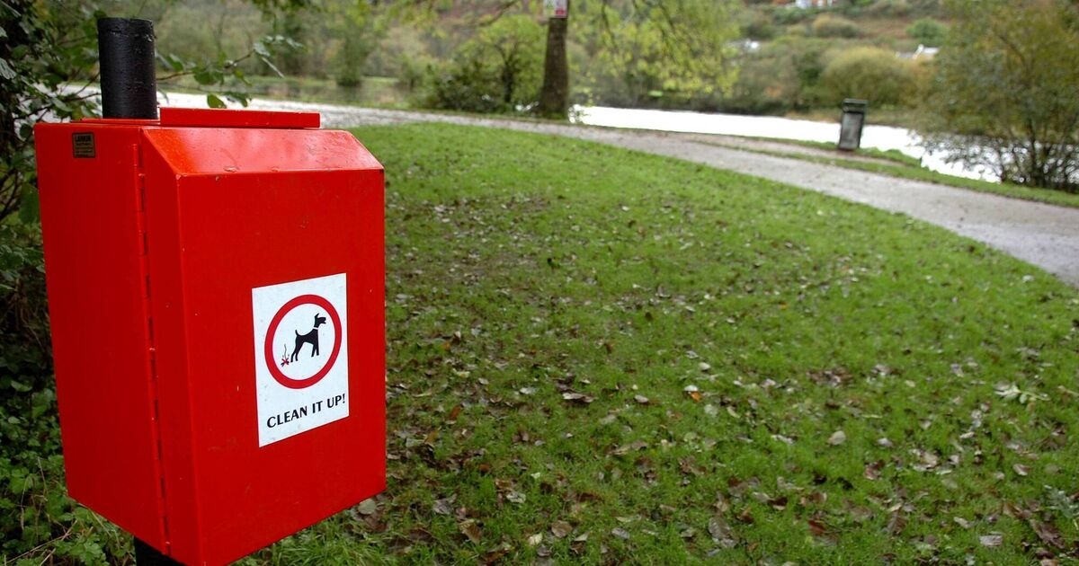 Council refuses to install dog fouling bins in East Cork town