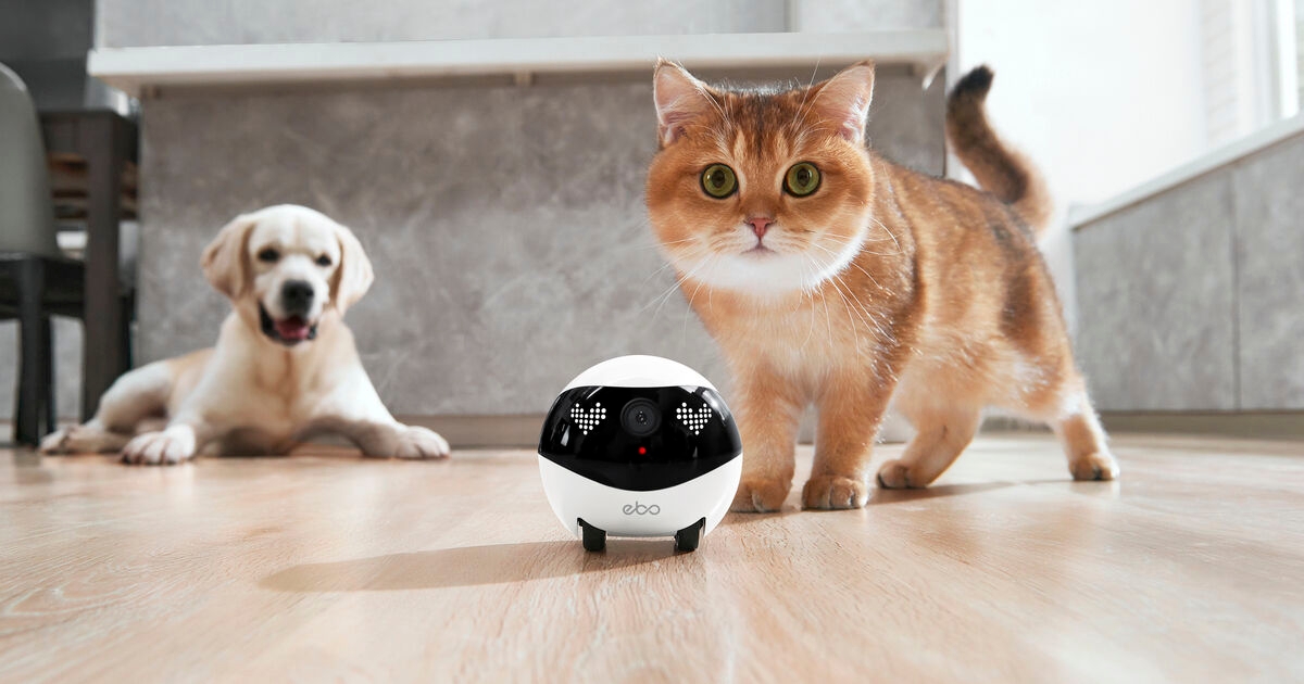 Ebo Air 2 review: The adorable home robot that watches, chats, and plays