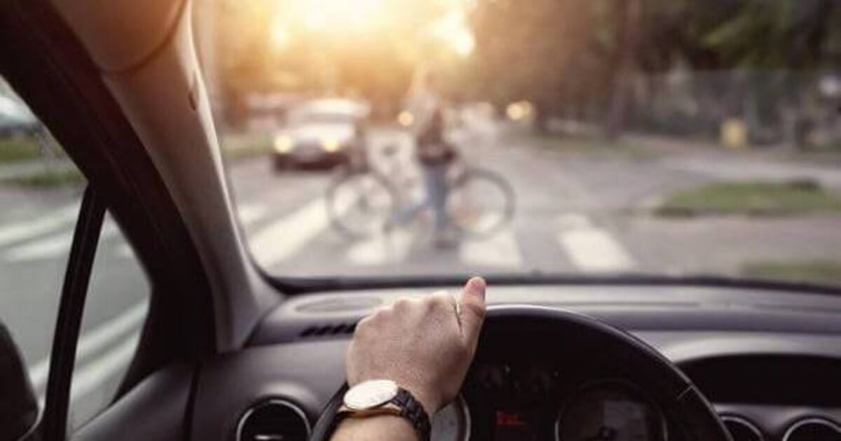 Car use and meat consumption drive emissions gender gap, research suggests