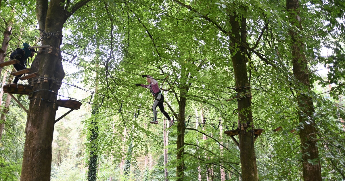 Plans lodged for new ziplining adventure centre in East Cork