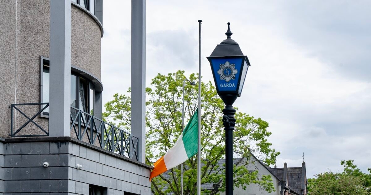 Four arrested after more than €33k cannabis seizure in Cork