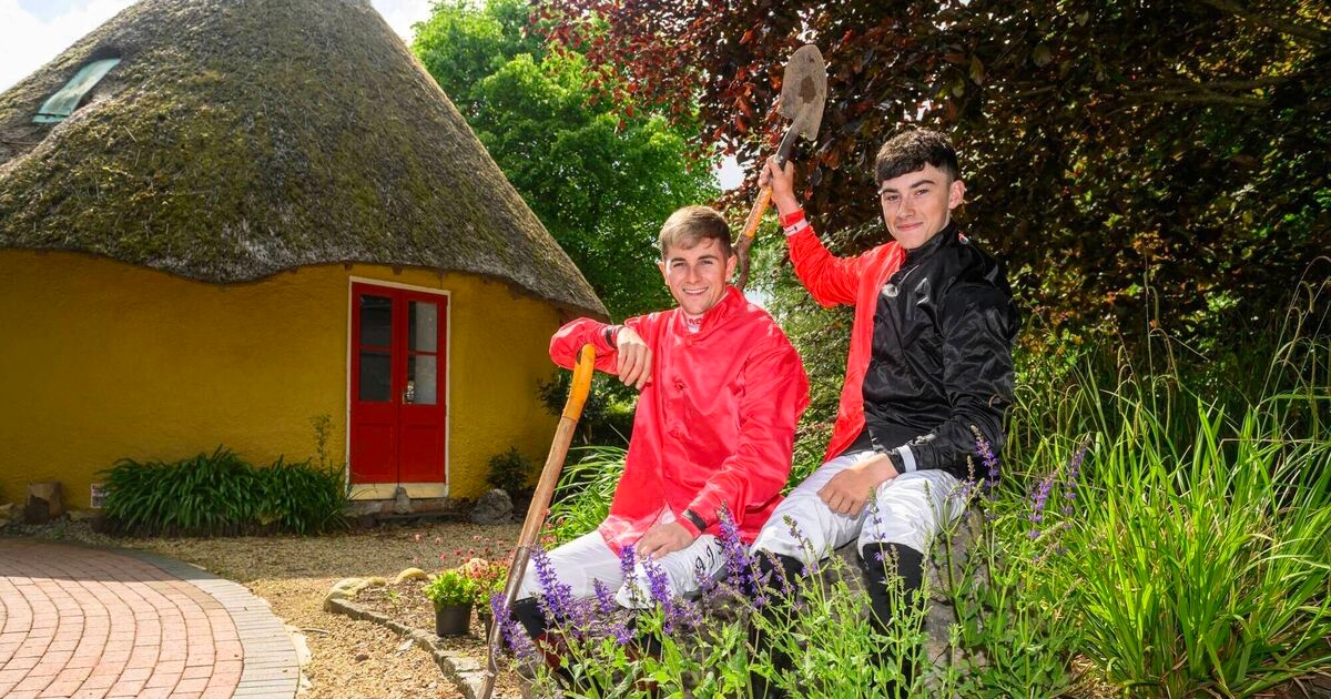 Peter Dowdall: Next stop Mallow for home and garden festival