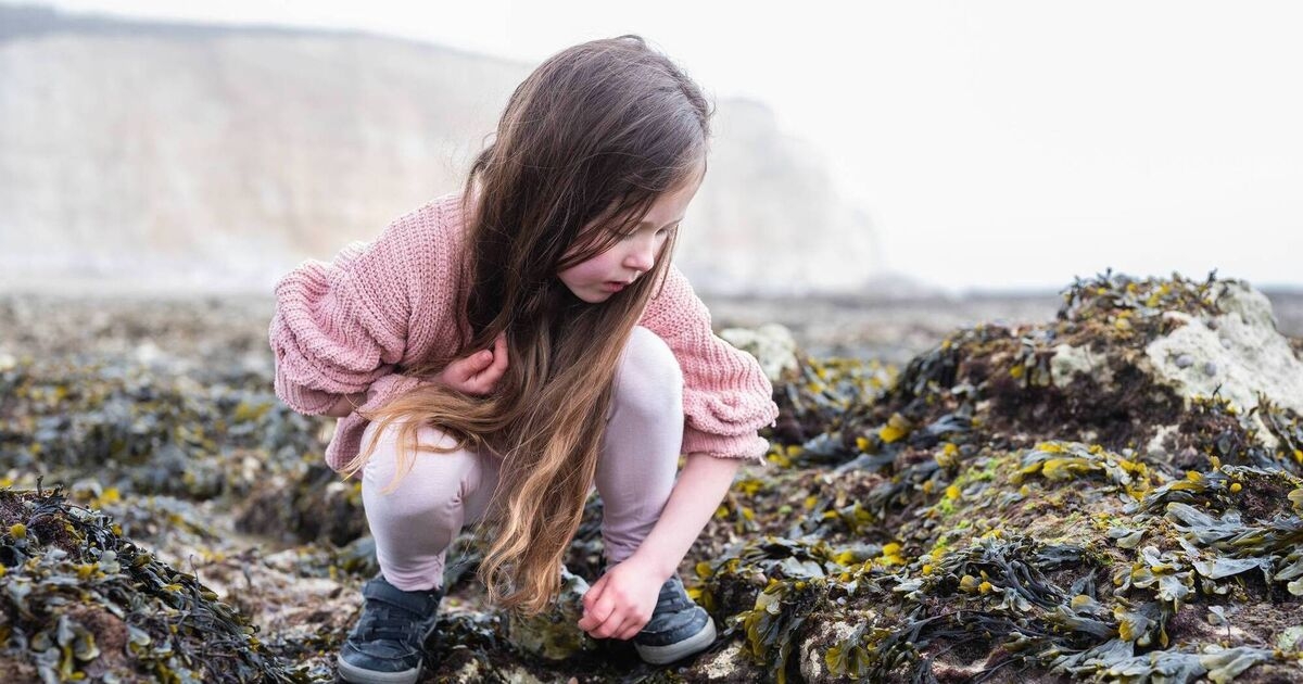 Tots to Teens: Life's a beach with Cork seashore tour