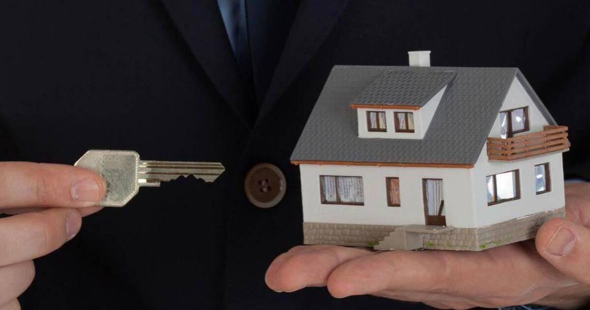 Councils must focus on increasing land portfolio to provide housing, Oireachtas hears